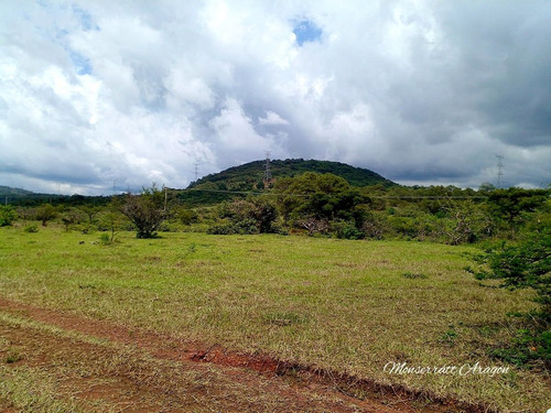Increíble Terreno Con Manantial