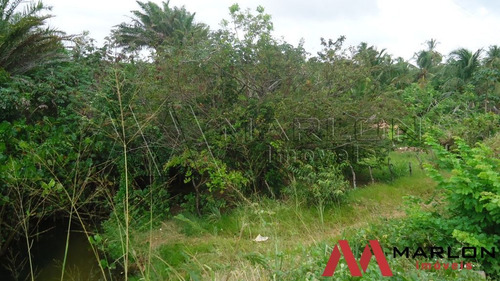 Imagem 9 de 14 de Terreno Em Nizia Floresta
