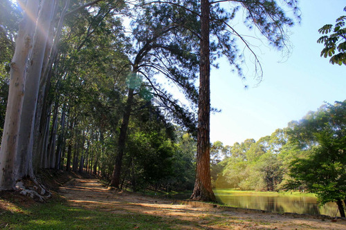 Imagem 3 de 23 de Terreno-em-condominio-para-venda-em-cond.-vale-do-lago-sorocaba-sp - 947