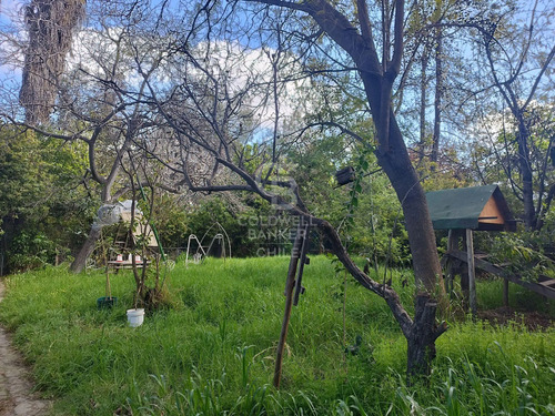 Proyecto Inmobiliario Sector Alejandro Guzmán El Bosque