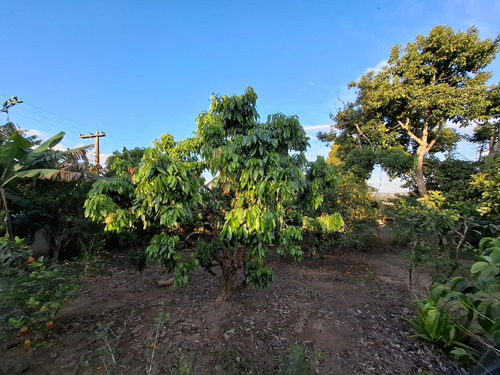 Chácara Em Condominio Fechado Em Ibiúna - 1000 M2 Terreno - Casa 3 Dormitórios Com Churrasqueira E Edícula