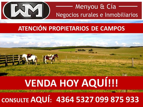 Imagen 8 de 10 de Compra Venta De Campo De 200has A 2500has Forestal Ganadero