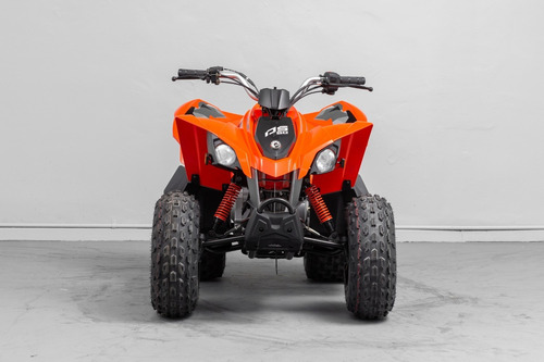 Can Am Ds 90 Nuevo Cuatriciclo Verano Niños