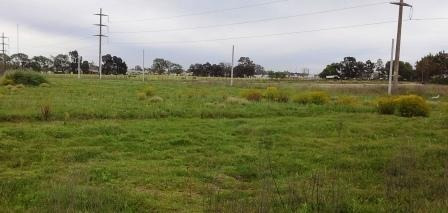 Imagen 5 de 14 de Lote En Venta En Zona Este Extraurbana De #trenqelauquen