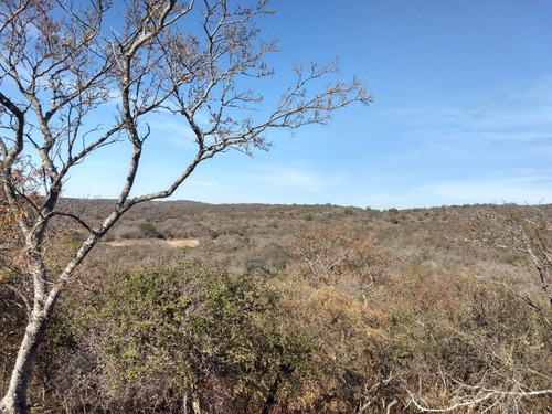 Imagen 2 de 17 de Campo De 100 Hectareas Con Casa En Tulumba, Provincia De Cordoba