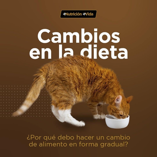 Imagen 5 de 6 de Alimento Catpro Indoor Gatos Adultos Castrados 15 Kg