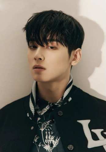 Hh Kit De Pintura Con Diamantes 5d Cha Eun Woo 40x30cm