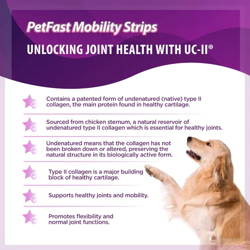 Tiras De Movilidad De Petfast Para Cadera Y Articulación De