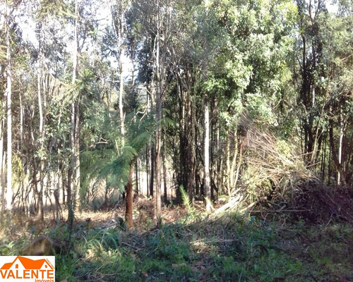 Imagem 1 de 8 de Chacara - Ch00024 - 69487829