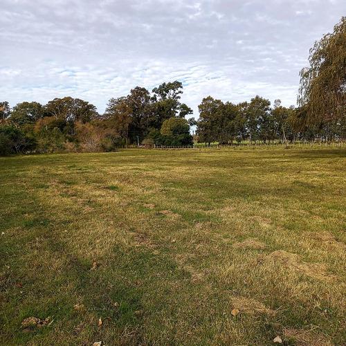 Imagen 2 de 16 de Venta Chacra De 7 Ha. En Zona De Gran Potencial