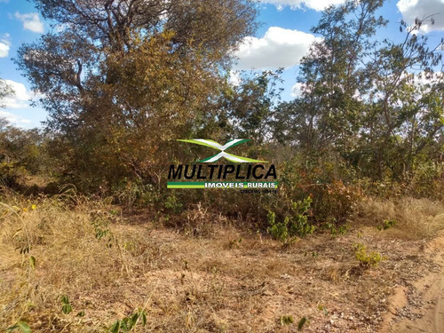 Imagem 15 de 15 de Fazenda 102,22 Hectares, R$ 2.788,10 Ha, Santa Fé De Minas Mg, Pecuária, - 442