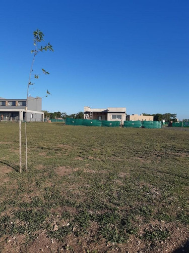 Terreno Lote  En Venta Ubicado En Santa Lucia, Pilar Del Est