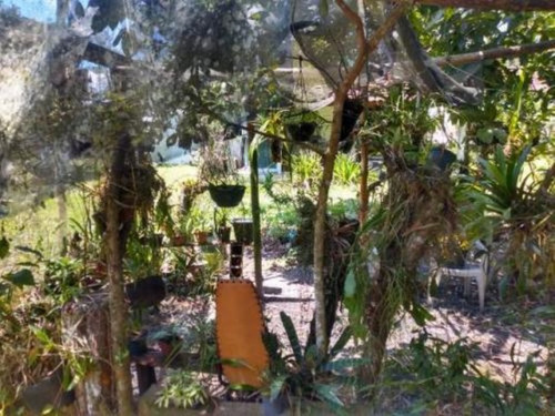 Imagem 20 de 28 de Chácara Com Piscina, Churrasqueira E Árvores Frutíferas, Em Itanhaém, No Jardim São Fernando Ref: 6054/ac