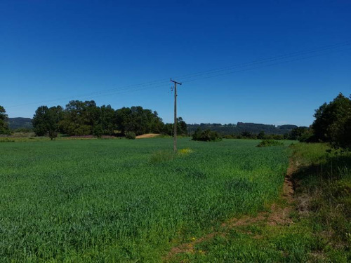 Se Vende Hermoso Campo En La Unión