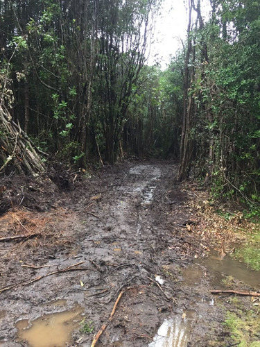 Imagen 6 de 10 de Parcela A 5 Min De Coñaripe A Metros De La Playa Y Río