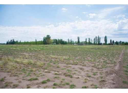 Venta Terreno / Lote El Cerrito