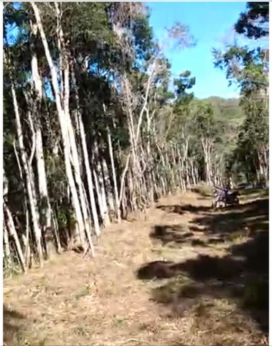 Imagem 4 de 9 de Sítio 10 Hectares No Sul De Mg