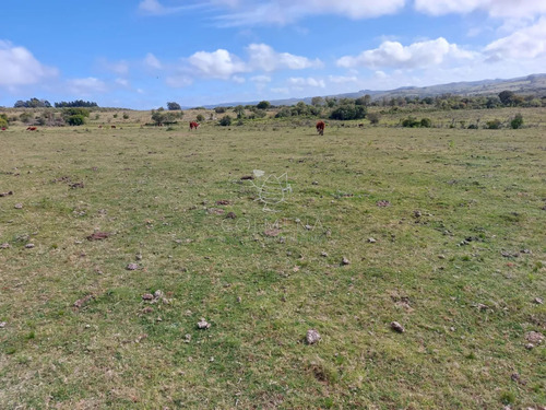 Atención Inversores!!! Campo 262 Has Pueblo Edén, Apto Para Fraccionamiento!
