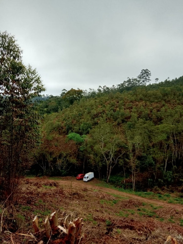 Imagem 14 de 14 de B22 Venha Comprar Seu Lote, Facilitamos O Pagamento !