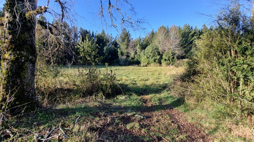Venta Sitio 5800m2 Zona Rural Region De Los Rios