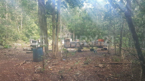 Terreno En Tekax 120 Hectáreas Propiedad Privada. Tekax Yucatán.