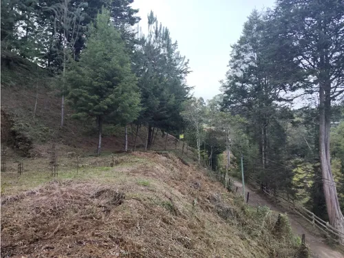 Lote En Guarne Vereda La Clarita Cerca De La Vía Principal