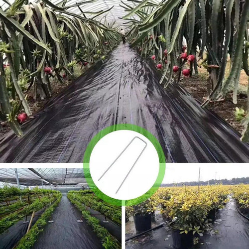 50 Grapas De Acero Para Jardín, Grapas Para 2,5x4x200mm