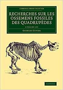 Recherches Sur Les Ossemens Fossiles Des Quadrupedes 4 Volum