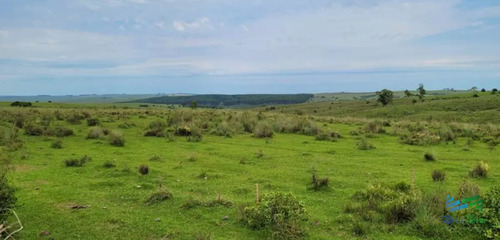 400 Has Campo Ganadero-forestal En Zapican