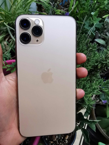 iPhone 11 Pro (Usado)