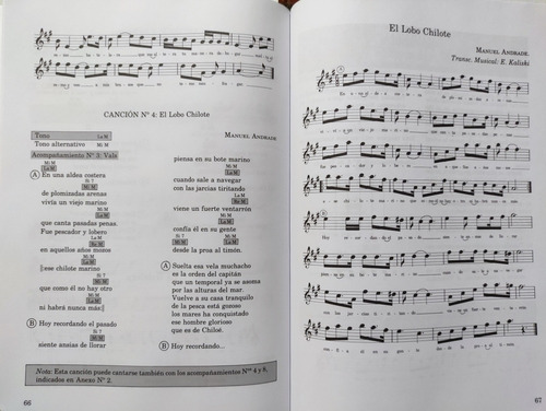 Método De Guitarra Chilena. Aprender A Tocar Guitarra (Reacondicionado)