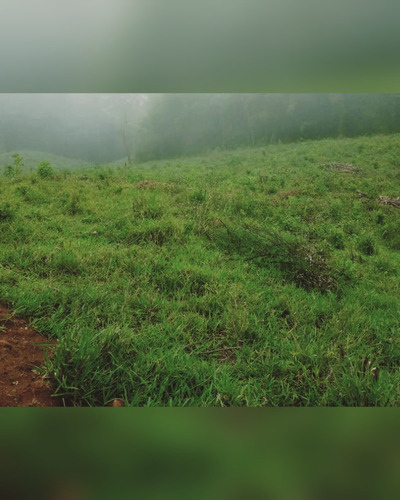 Imagem 13 de 14 de A1- Venha Garantir Seu Terreno Na Promoção De Fim De Ano