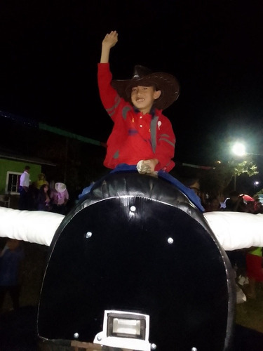 Imagen 3 de 5 de Renta De Toro Mecánico