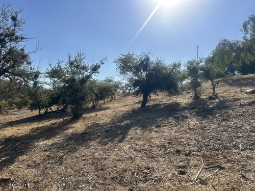 Valle Escondido / Sitio Casi Plano
