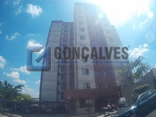 Imagem 1 de 15 de Venda Apartamento Sao Bernardo Do Campo Parque Terra Nova Ii - 1033-1-43315