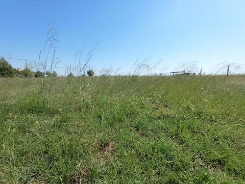 Terreno En Chacras Lemu Cuyen - Ataliva Roca