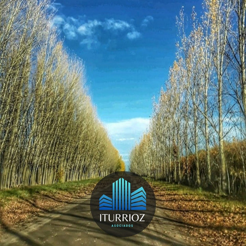 Imagen 5 de 10 de En Venta Finca General Alvear Mendoza