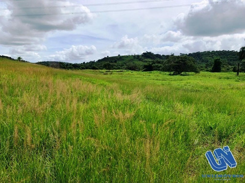 Imagem 4 de 12 de Fazenda Com 83 Tarefas Em Catu - Bahia - Afd069 - 70759118