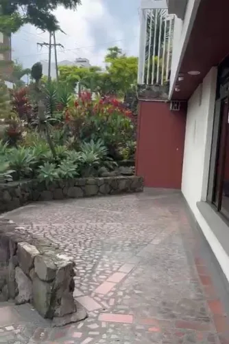 Local En Arriendo Pinares - Pereira (279058202).
