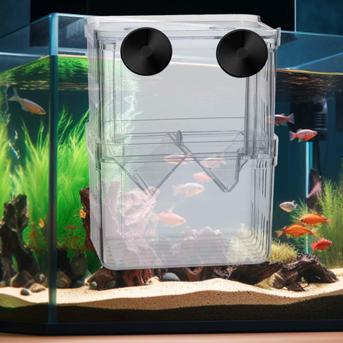 Caja De Cría De Acuario, Fácil De Usar, Tortuga Jugando,