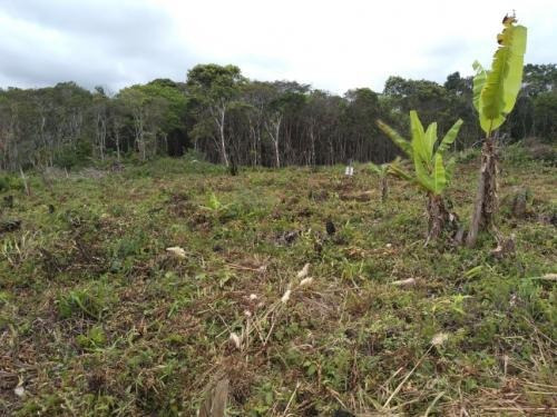 Imagem 2 de 8 de Terreno Em Itanhaém, Aceita R$25 Mil De Entrada + Parcelas!!