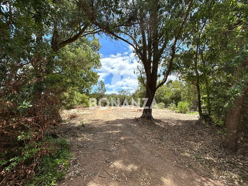 Imagen 7 de 11 de Terreno En Venta Con Muy Buena Ubicación En Punta Colorada, Piriápolis. A 1 Cuadra De La Playa.