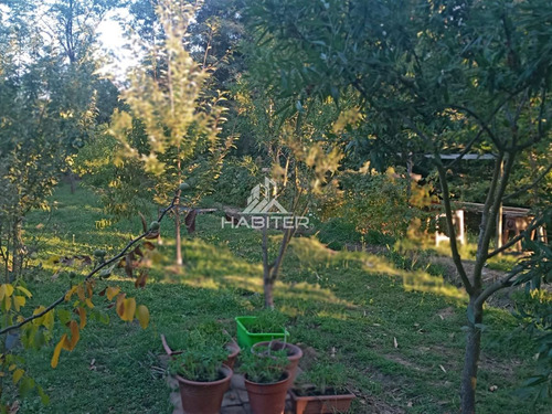 Casa En Venta De 4 Dorm. En Linares