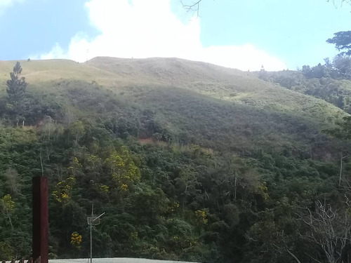 Terreno Catorce Hectáreas En El Cambural San Antonio De Los Altos