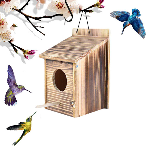 Caja De Dormir De Cría De Nido De Pájaro De Loro