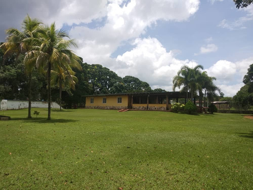Imagen 28 de 29 de Rosaura Cortez Vende Finca En Sabana Del Medio - Barrera
