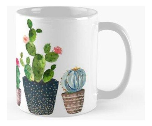 Taza X4 Trío De Cactus Pintado A Mano Con Acuarela Calidad P