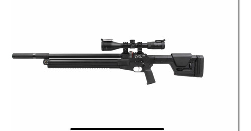 Rifle Pcp Evol Hps .22