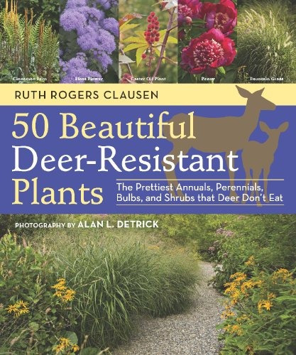 50 Beautiful Deerresistant Plants The Prettiest Annuals, Per