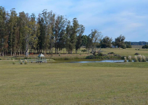 Imagen 3 de 4 de Terreno - El Quijote